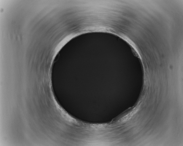 X0000059061389200510281621