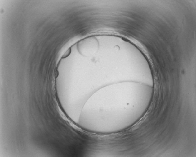 X0000059061390200510281621