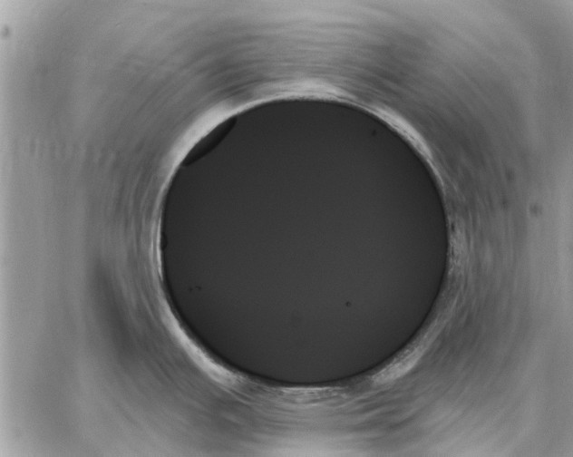 X0000059061391200510281621