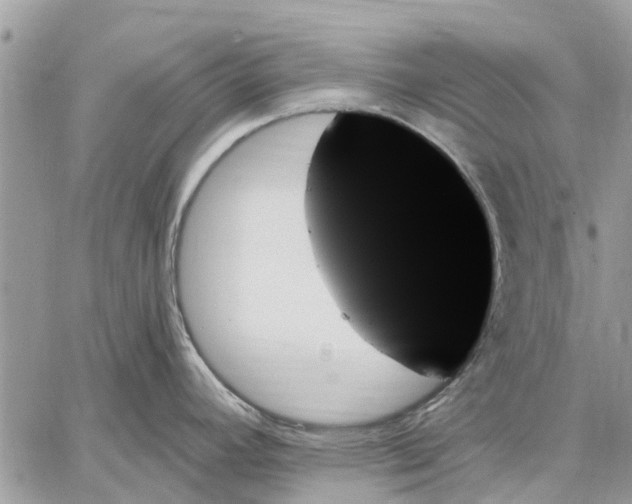 X0000059061392200510281621