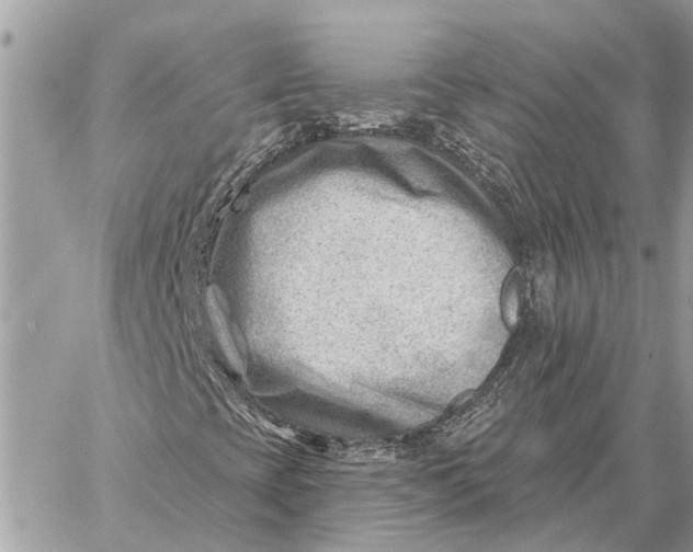 X0000059061393200510281621