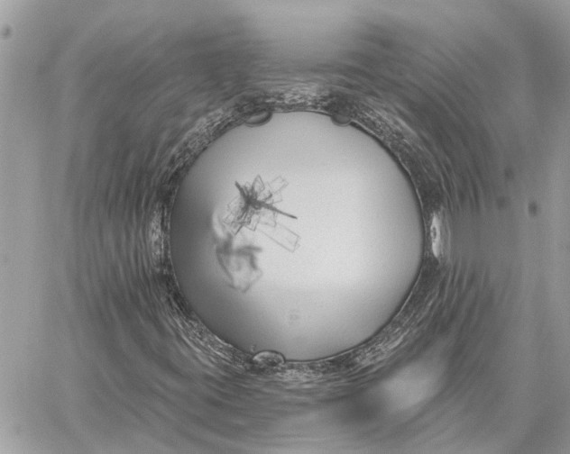 X0000059061395200510281621