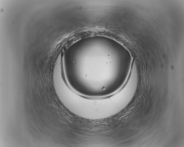 X0000059061398200510281621