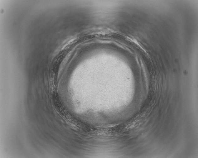 X0000059061399200510281621