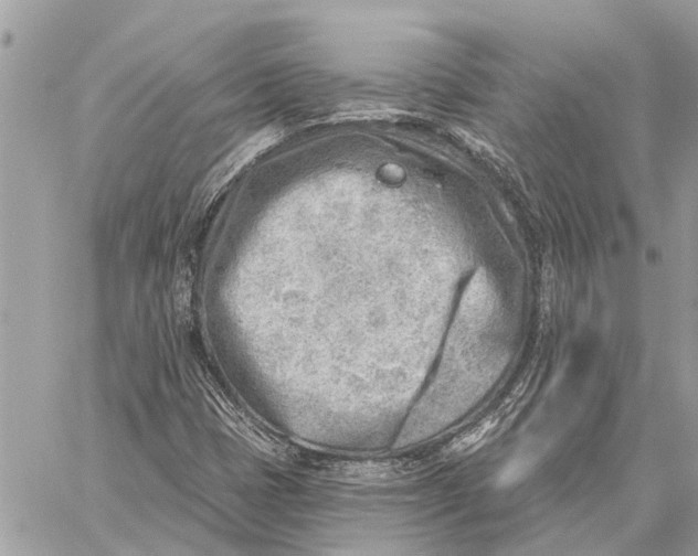 X0000059061401200510281621