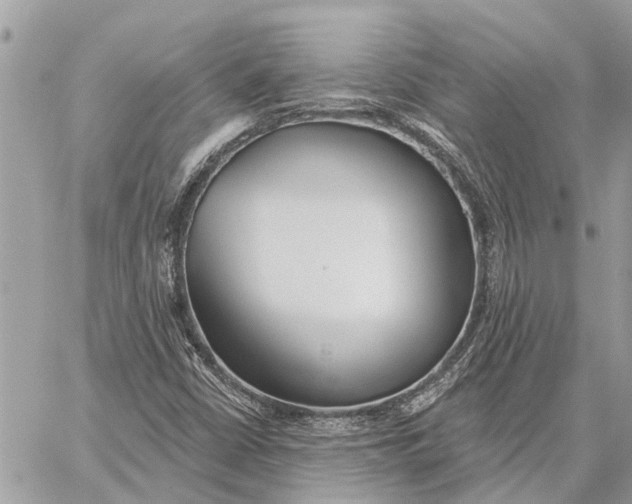 X0000059061402200510281621