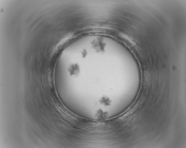 X0000059061403200510281621