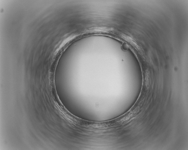 X0000059061404200510281621