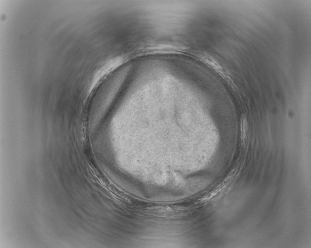 X0000059061405200510281621