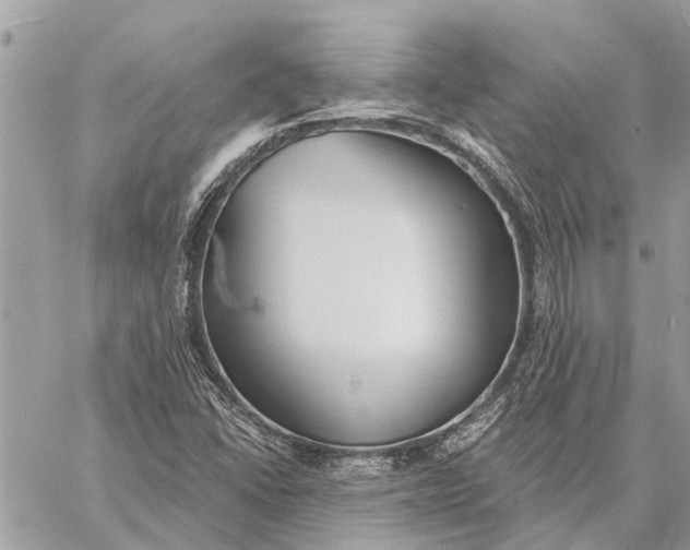 X0000059061406200510281621