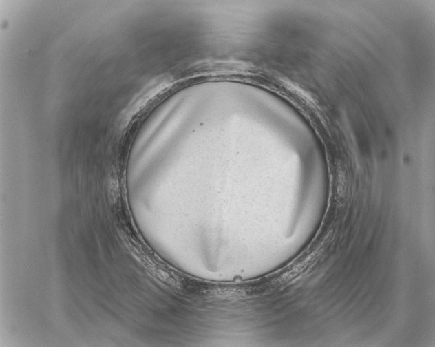 X0000059061407200510281621