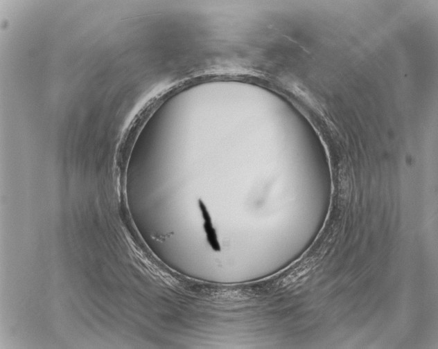 X0000059061408200510281621