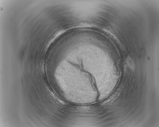 X0000059061409200510281621