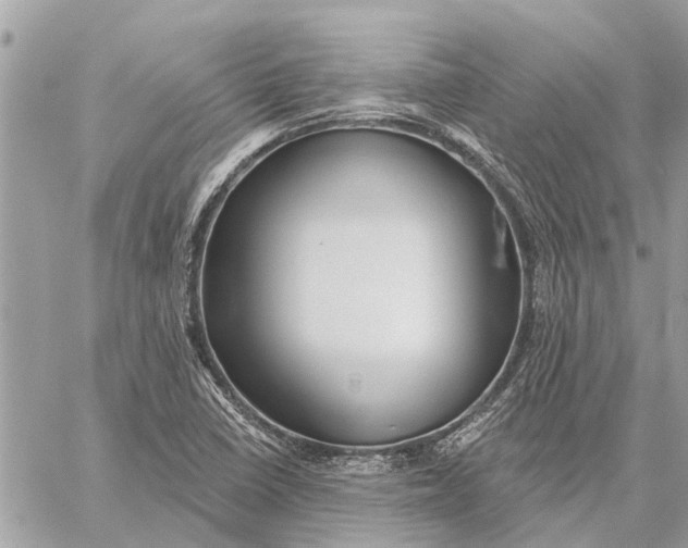 X0000059061410200510281621