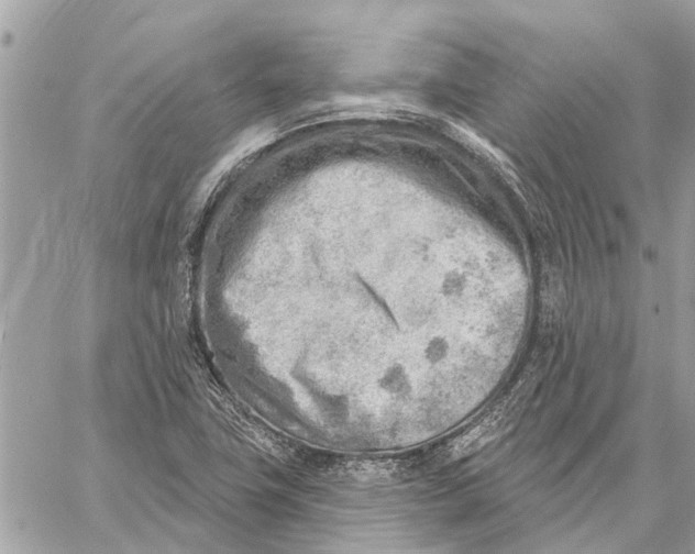 X0000059061411200510281621