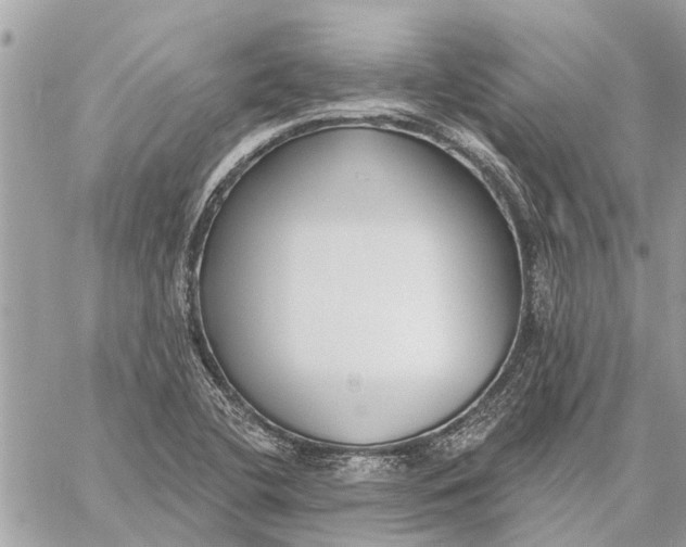 X0000059061412200510281621