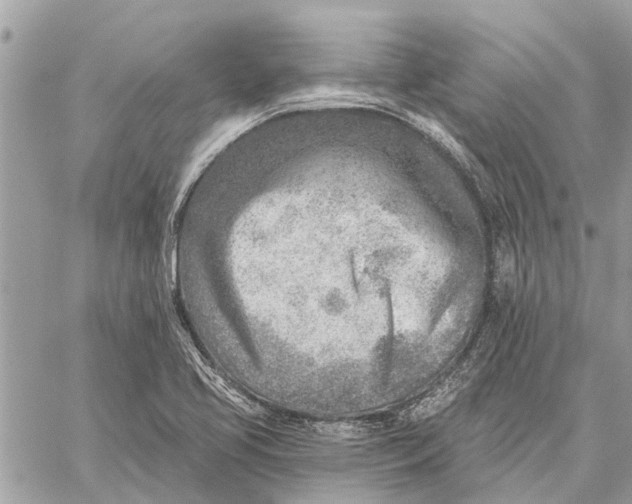 X0000059061413200510281621