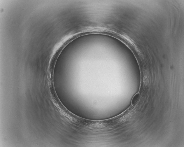 X0000059061414200510281621