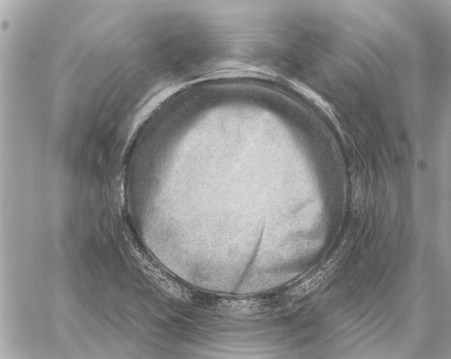 X0000059061415200510281621