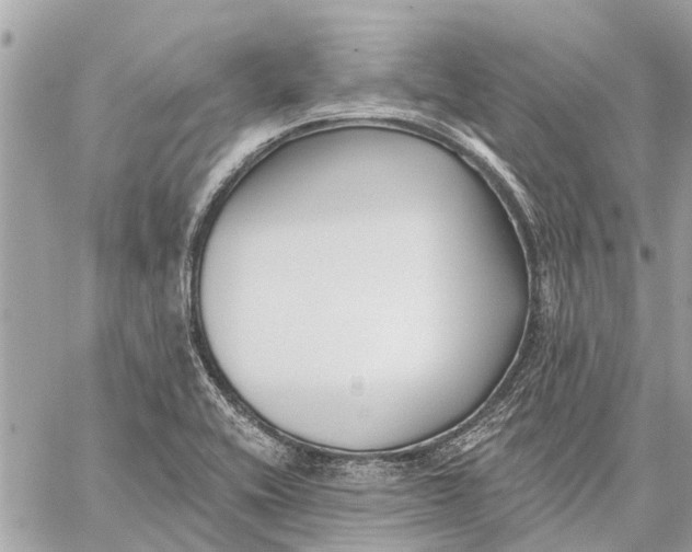 X0000059061416200510281621