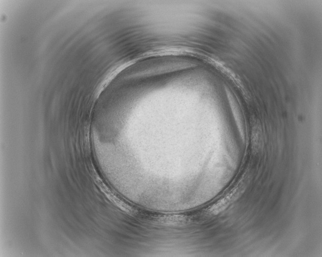 X0000059061417200510281621