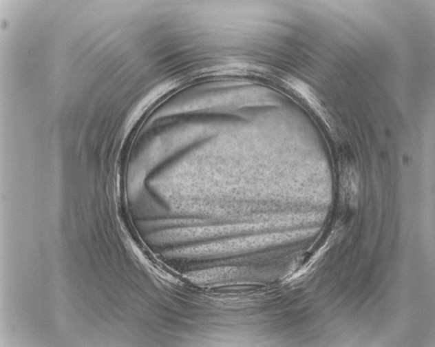 X0000059061418200510281621