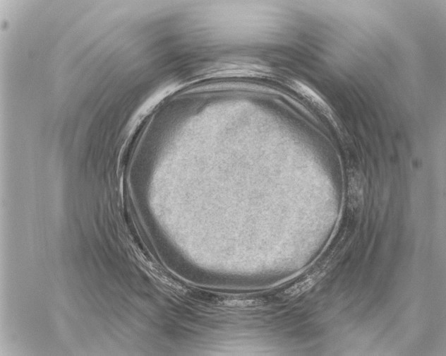 X0000059061419200510281621