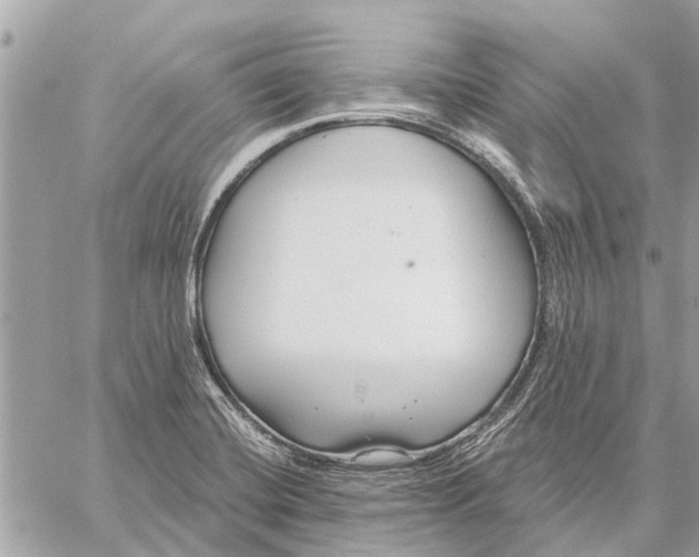 X0000059061420200510281621