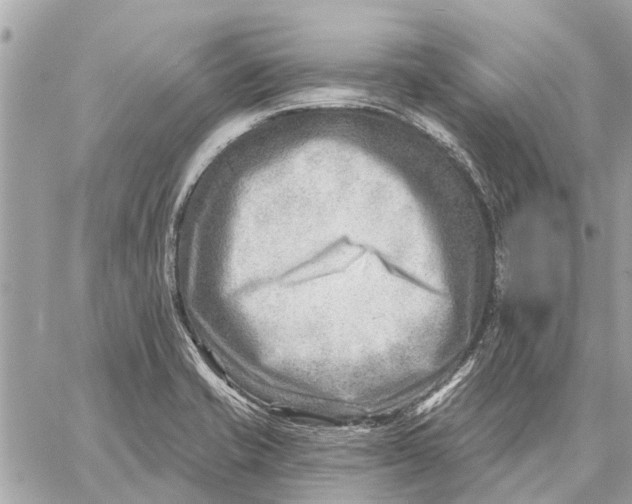 X0000059061421200510281621