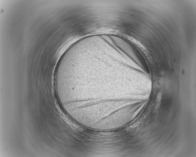 X0000059061423200510281621