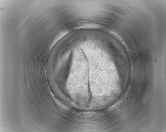 X0000059061425200510281621