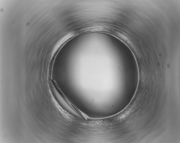 X0000059061426200510281621