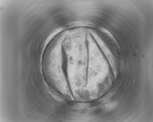 X0000059061427200510281621