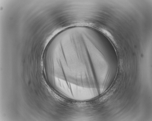 X0000059061428200510281621