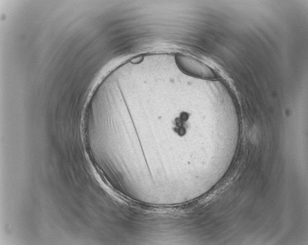 X0000059061429200510281621