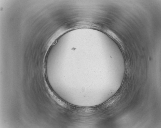 X0000059061431200510281621