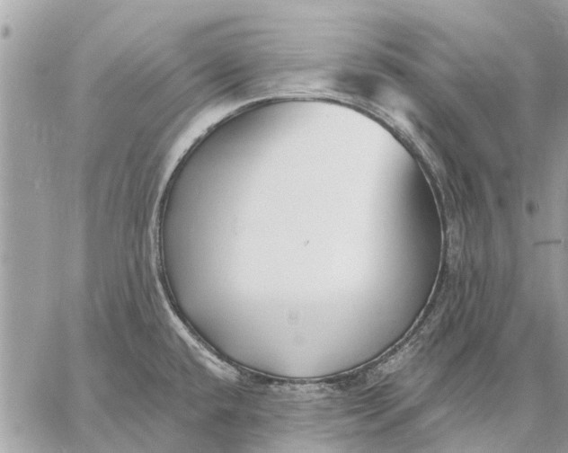 X0000059061432200510281621