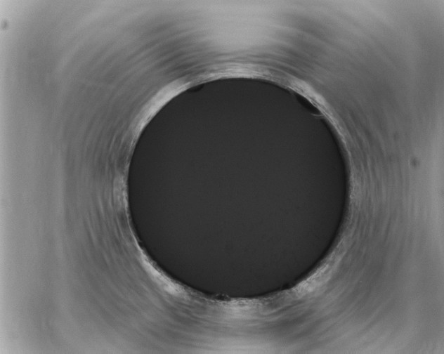 X0000059061433200510281621