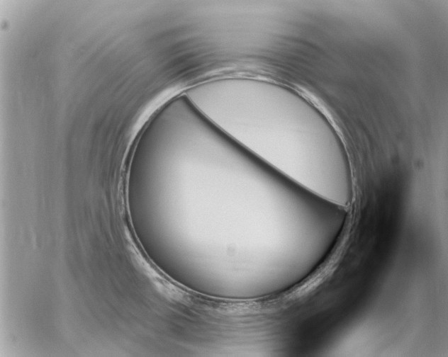 X0000059061434200510281621