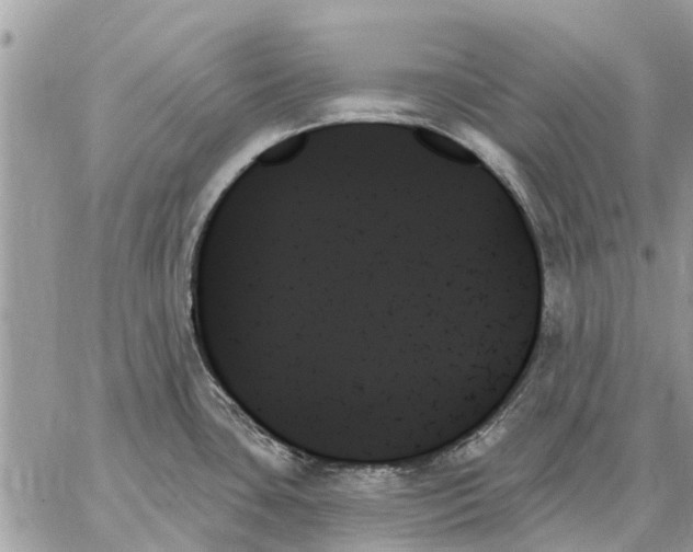 X0000059061435200510281621