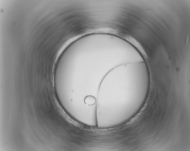 X0000059061436200510281621