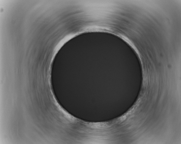 X0000059061437200510281621