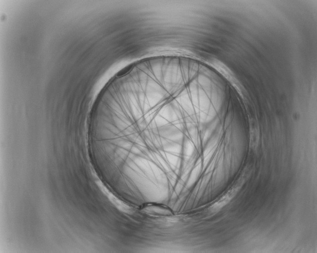 X0000059061438200510281621