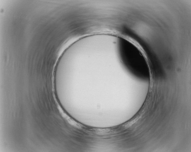 X0000059061439200510281621