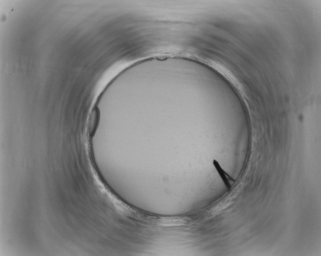 X0000059061440200510281621