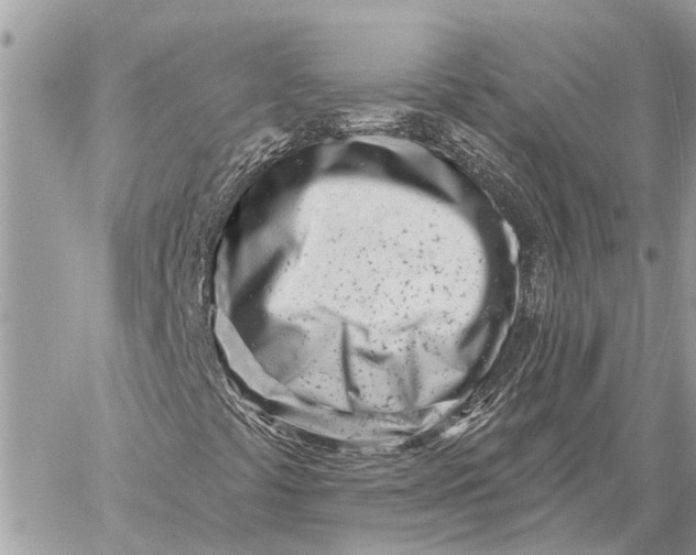 X0000059061441200510281621