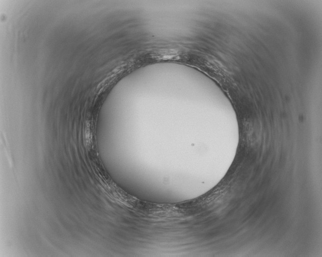 X0000059061442200510281620