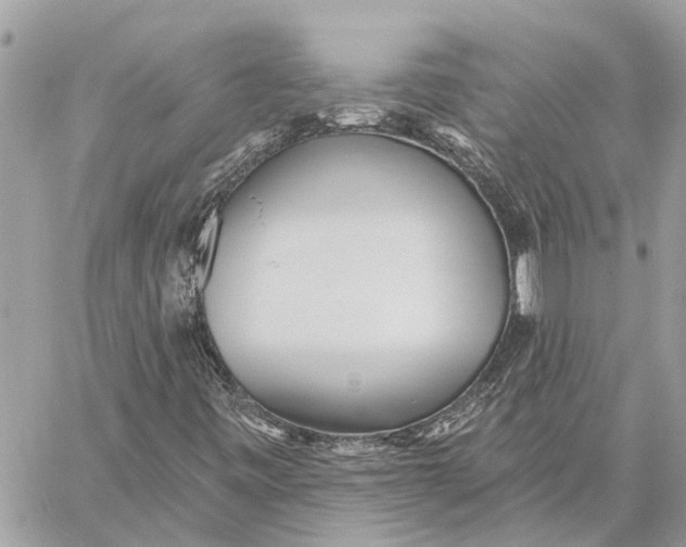 X0000059061443200510281620