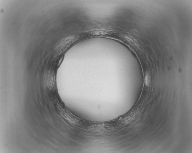 X0000059061444200510281620