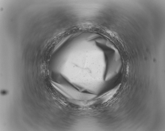 X0000059061445200510281620